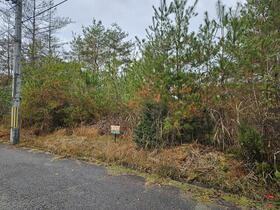 京都府船井郡京丹波町実勢向山