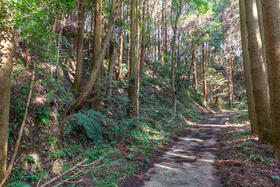 佐賀県唐津市石志