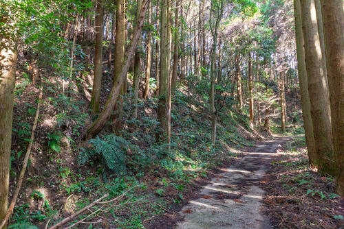 Land, Karatsu, Saga