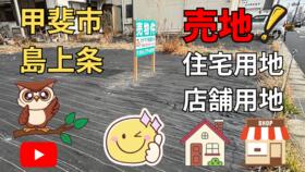 山梨県甲斐市島上条