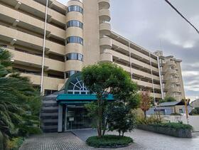 神奈川県足柄下郡真鶴町岩