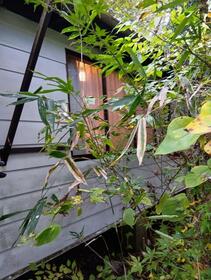 栃木県那須塩原市油井