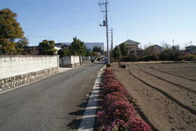 埼玉県比企郡吉見町大字下細谷