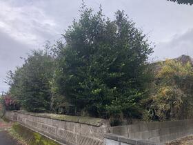 宮崎県都城市今町