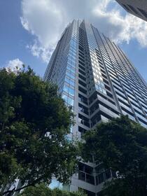 ＴＨＥ　ＲＯＰＰＯＮＧＩ　ＴＯＫＹＯ