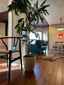 長野県上水内郡信濃町大字野尻