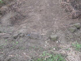 愛知県稲沢市祖父江町三丸渕下屋敷