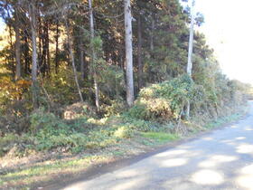 茨城県つくば市高田