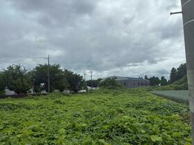 茨城県結城郡八千代町大字若