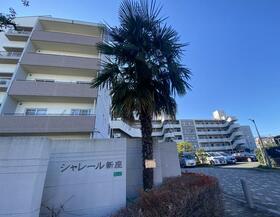 埼玉県新座市畑中１丁目