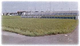 愛知県愛西市須依町砂山