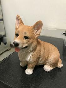 スカイハイツ横山　１０２