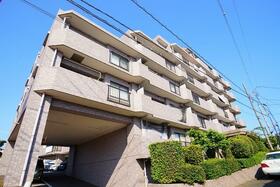 シーダム藤沢善行