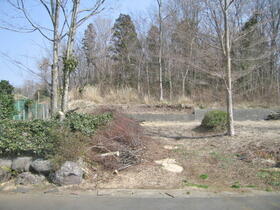 静岡県伊豆市柳瀬