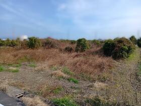 静岡県浜松市浜名区油一色