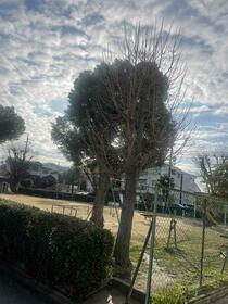 大阪府大阪狭山市池尻北２丁目