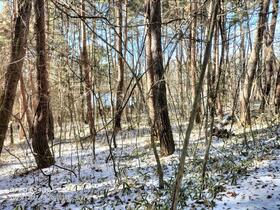 長野県諏訪郡富士見町立沢広原