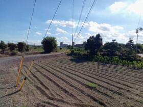 茨城県結城市大字結城