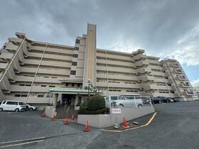 ブロッサム高峰