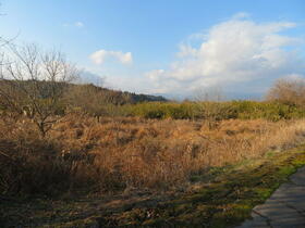 熊本県人吉市蓑野町