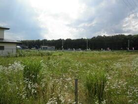 栃木県那須塩原市埼玉