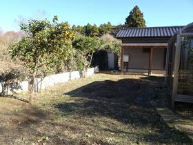 Image 39