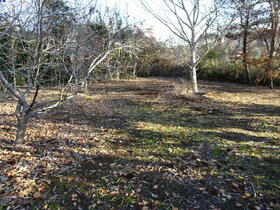 茨城県鹿嶋市大字棚木