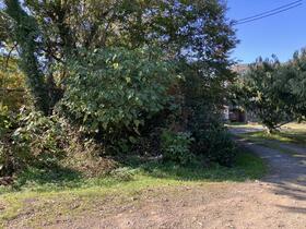 兵庫県丹波篠山市味間奥