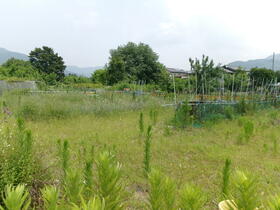 埼玉県秩父郡長瀞町大字本野上