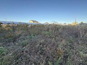 福島県双葉郡富岡町大字本岡字新夜ノ森