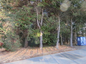 栃木県芳賀郡益子町大字塙