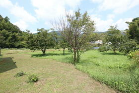 高知県土佐市蓮池