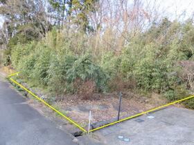 静岡県伊豆市柳瀬