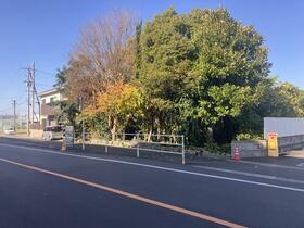 愛媛県松山市土居町