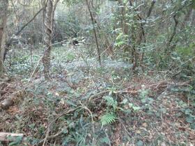 三重県伊賀市上神戸