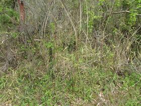 滋賀県長浜市西浅井町山門