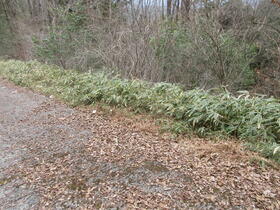 岐阜県中津川市福岡
