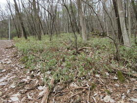 岐阜県中津川市福岡
