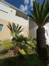 神奈川県中郡大磯町国府本郷