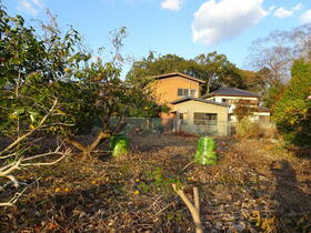 徳島県美馬市脇町大字猪尻字西上野