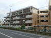 コーポ岡本I 1階 築41年2ヶ月の賃貸物件