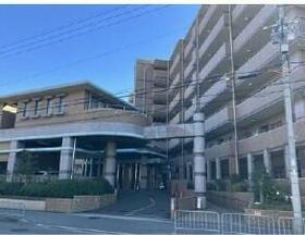 京都府京都市伏見区桃山町山ノ下