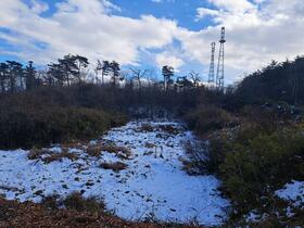 岩手県一関市真柴字矢ノ目沢