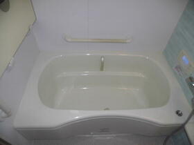 Image 11