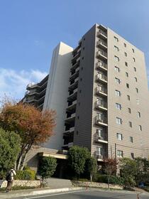 埼玉県志木市柏町１丁目