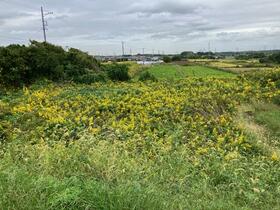 愛知県知多郡東浦町大字藤江字西黒根