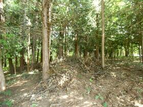 長野県諏訪郡富士見町落合烏帽子