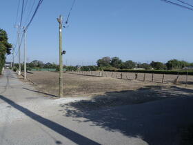 千葉県大網白里市南今泉