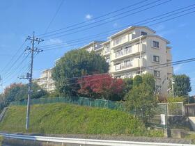 千葉県柏市中新宿１丁目