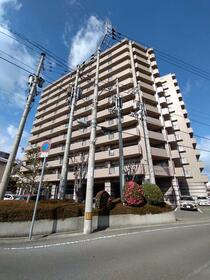 サーパスシティ栗林